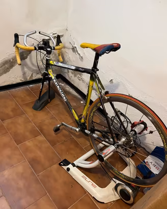 Bici da corsa colnago