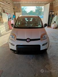 Fiat Panda 2022