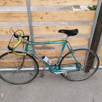 magnum campagnolo