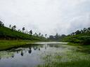 lago-con-splendido-terreno-sulla-riva-in-bassa-ate
