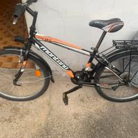 Bici ragazzi ruote da 24”