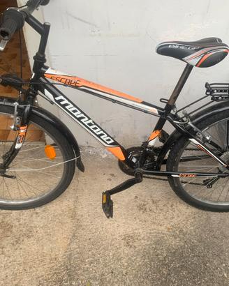 Bici ragazzi ruote da 24”