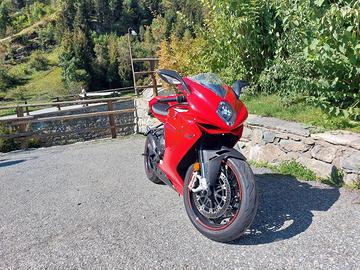 MV Agusta F3 800 - 2021