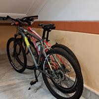 bicicletta super leggera da uomo