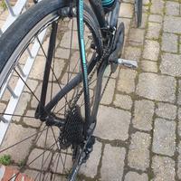 Bianchi "Oltre Xr3"