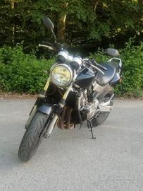 Honda hornet 600