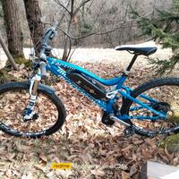 bici elettrica 