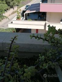 Copertura in alluminio per verande/giardini