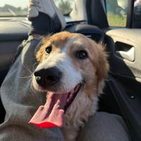 Sofì 4/5 anni