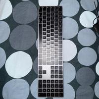 Magic Keyboard with Numeric Keypad