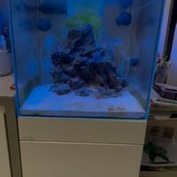 Acquario Marino completo di tutto