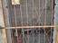 Immagine 5
