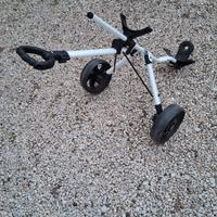 Carrello da Golf