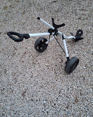 Carrello da Golf