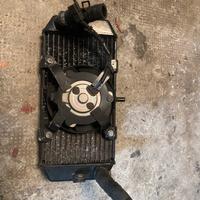 Radiatore completo majesty 400