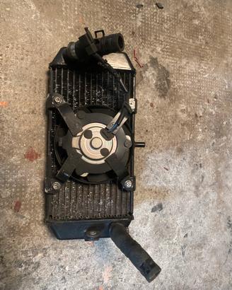 Radiatore completo majesty 400