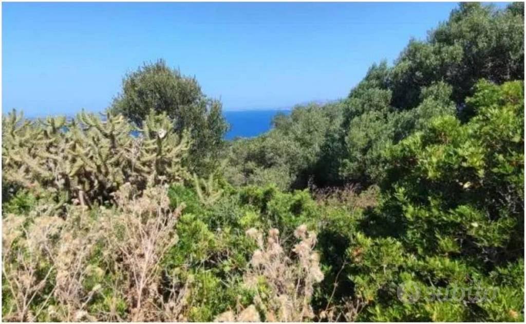 Immobile in asta di 10210 m² a Palau - Vista 2