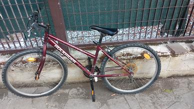 bici da bambino ruota 24