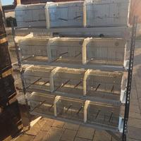 batteria da gabbie 12