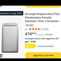 Comdizionatore portatile