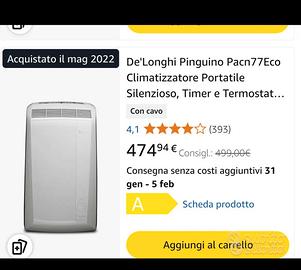 Comdizionatore portatile
