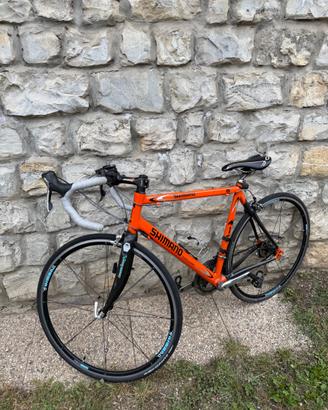 Bici da corsa