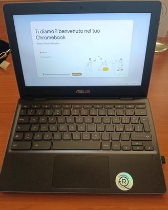 Asus ChromeBook C204M Intel Celeron N4000 11.6" 