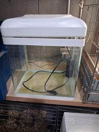 acquario piccolo