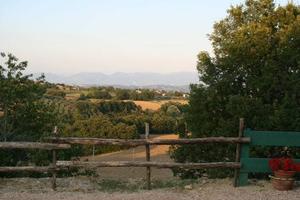 Immobile di 2380 m² con più di 5 locali a Montefal