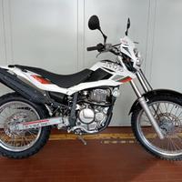 Beta Alp 4.0 usata del 2008