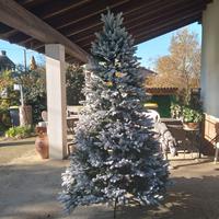 Albero di Natale