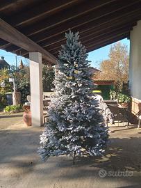 Albero di Natale