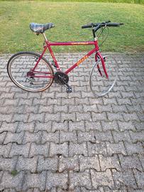 bicicletta da uomo