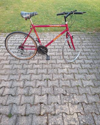 bicicletta da uomo
