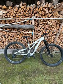 Specialized stumpjumper