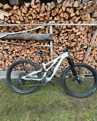 Specialized stumpjumper