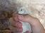 Immagine 4