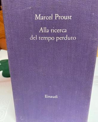 Marcel Proust  romanzo