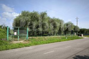 Terreno Agricolo Fabrica di Roma