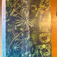 Rivista domus settembre 2025