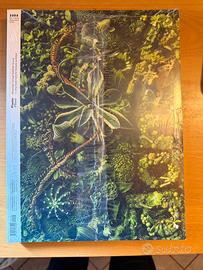 Rivista domus settembre 2025