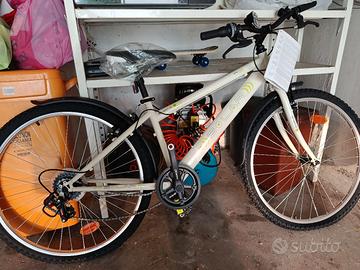 bicicletta 