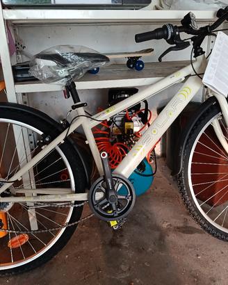 bicicletta 