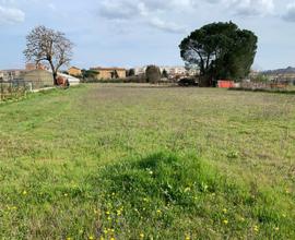 Terreno con laboratorio agricolo e serra