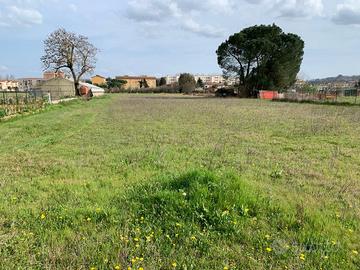 Terreno con laboratorio agricolo e serra