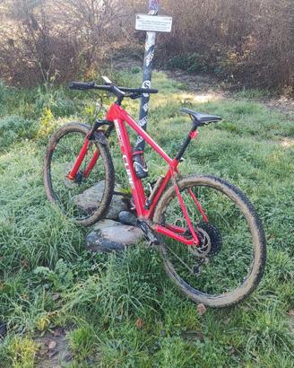 MTB cube reaction C62 on1