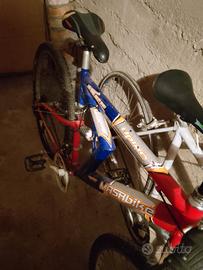 Mountain bike 