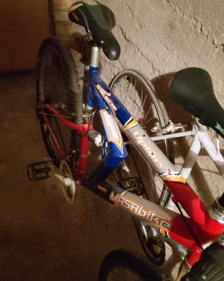 Mountain bike 