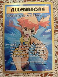 Determinazione di Misty 108/108