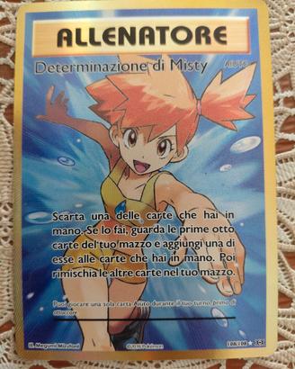 Determinazione di Misty 108/108